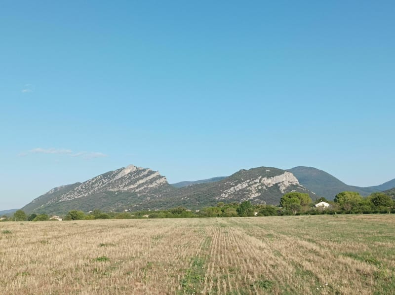 Entre vigne et voie verte - Saint-Hippolyte-du-Fort