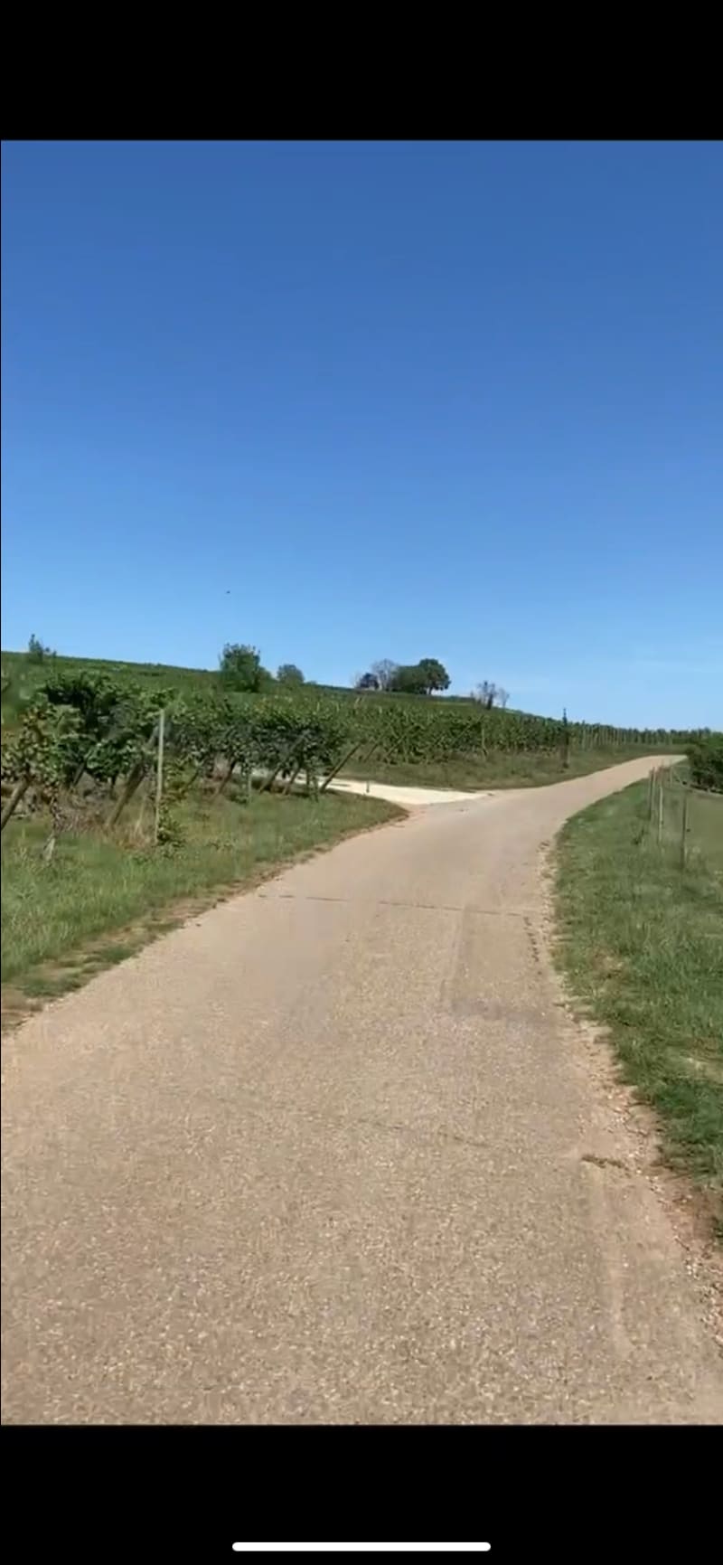 Balade sportive pour débutant à Bergheim - Bergheim