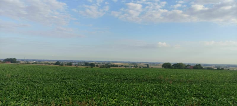 Sortie du matin au départ de Herzeele - Herzeele