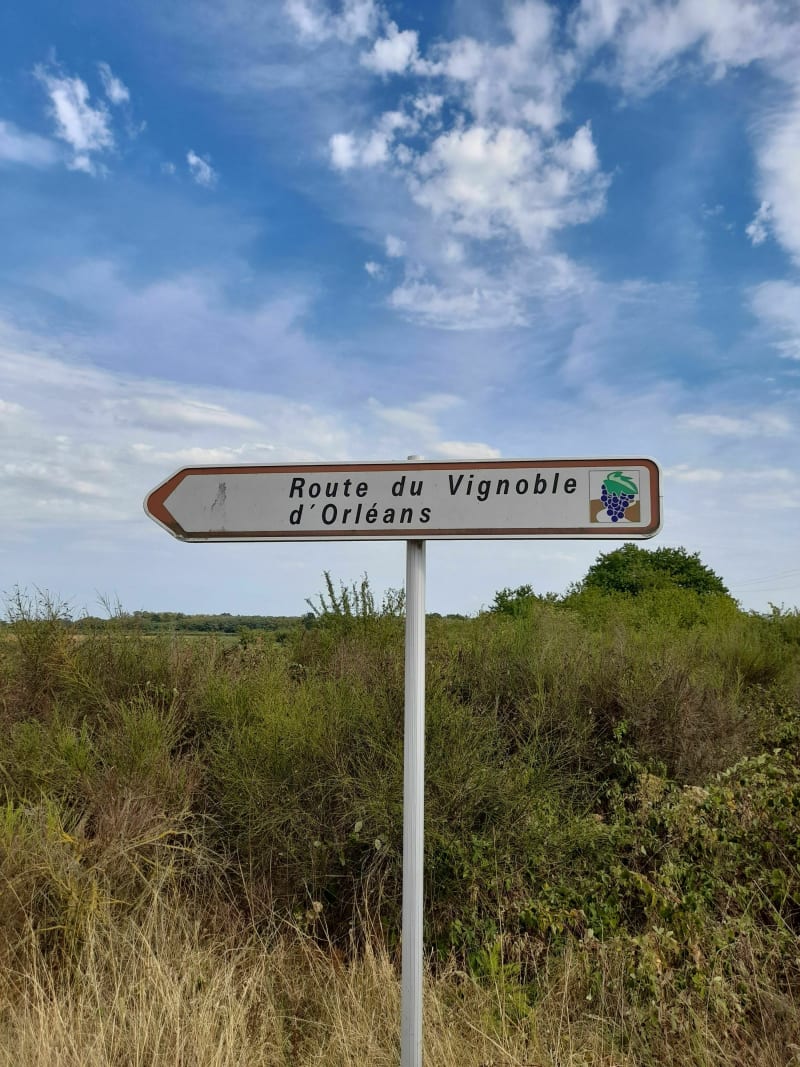 Les vergers et domaines dans le Loiret - Olivet