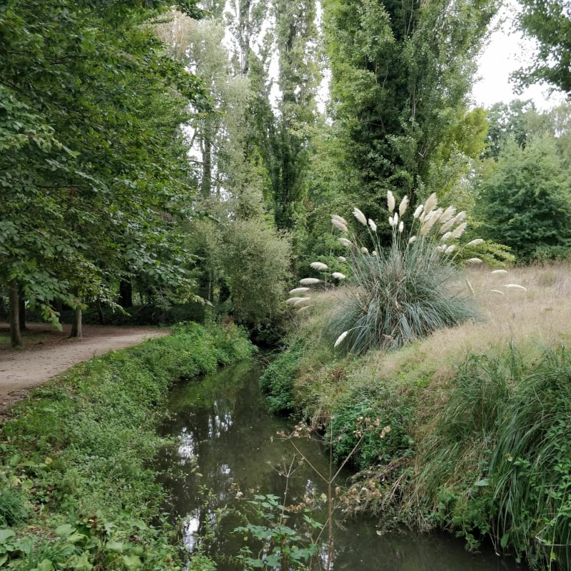 Le long de la Bièvre en passant par forêts et merveilles - Clamart