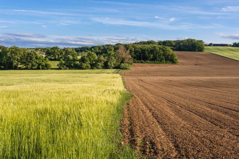 Saint Loup cammas - Saint-Loup-Cammas