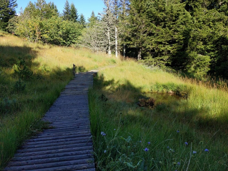 Le chemin de Taranis arga ; station de la Croix de Bauzon. - Borne