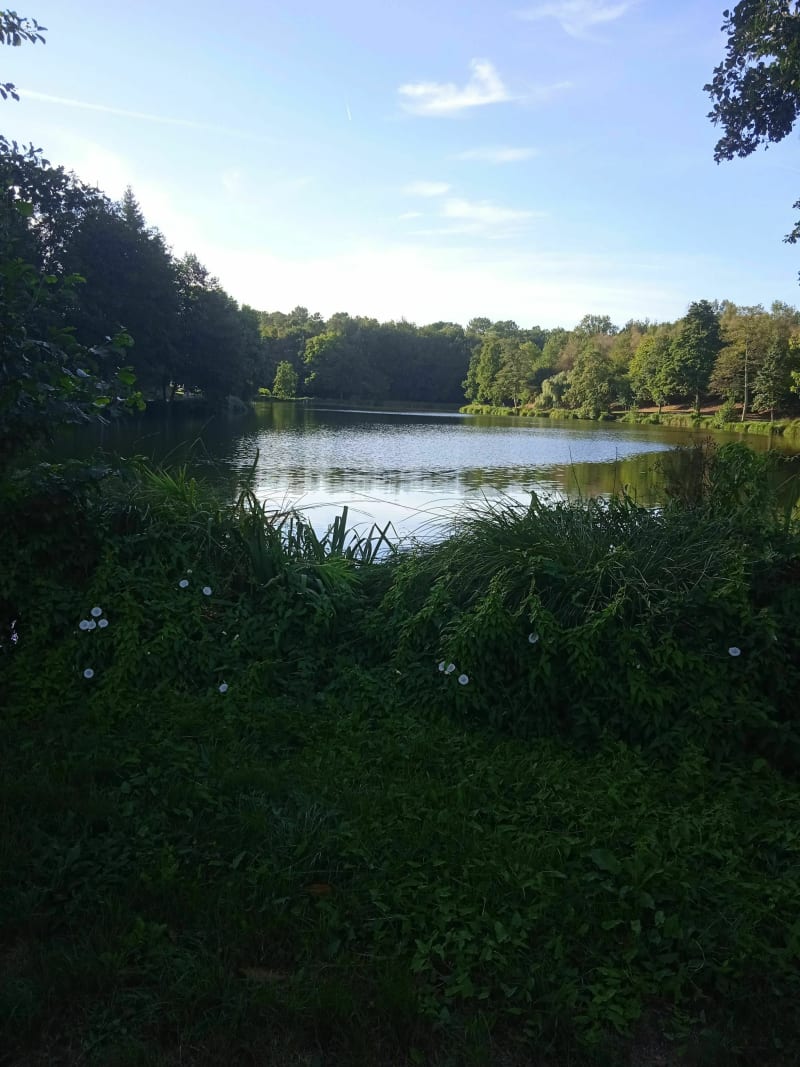 Étang de Célac à Questembert - Questembert