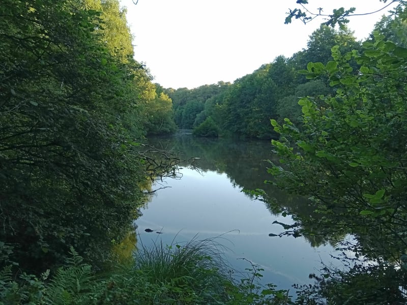 Circuit du moulin de Quip Allaire - Allaire