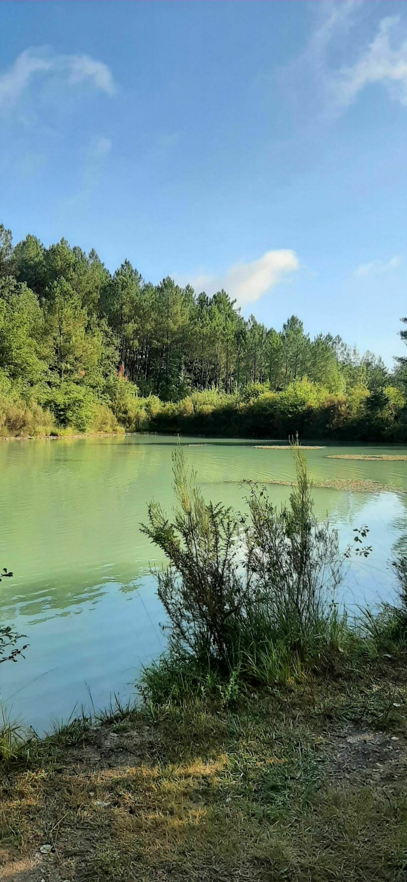 Le lac bleu - Le Buisson-de-Cadouin