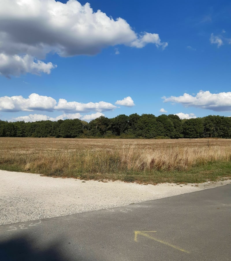 Balade en forêt de Larcay et Bois des Hâtes - Chambray-lès-Tours
