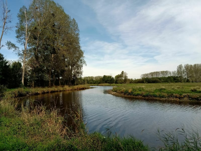 Marais du brivet - Sainte-Anne-sur-Brivet