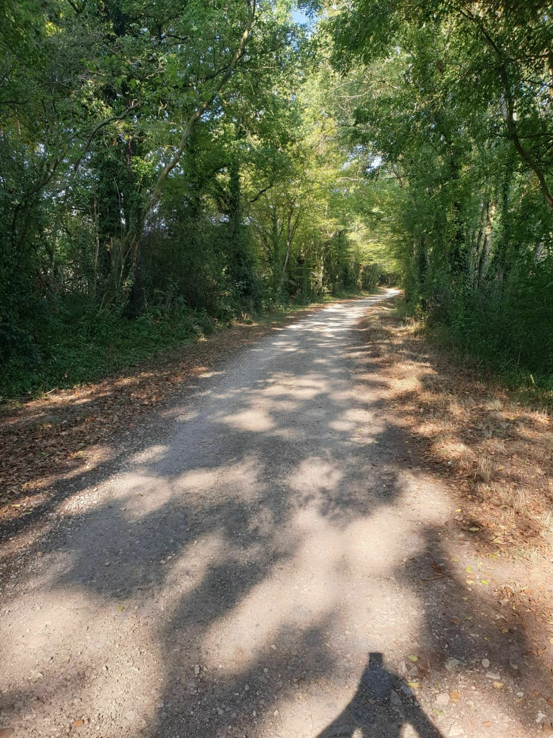 Balade à Saint-Rėmy - Saint-Rémy