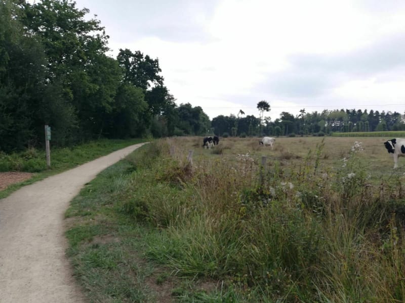 Footing à Bédée - Bédée