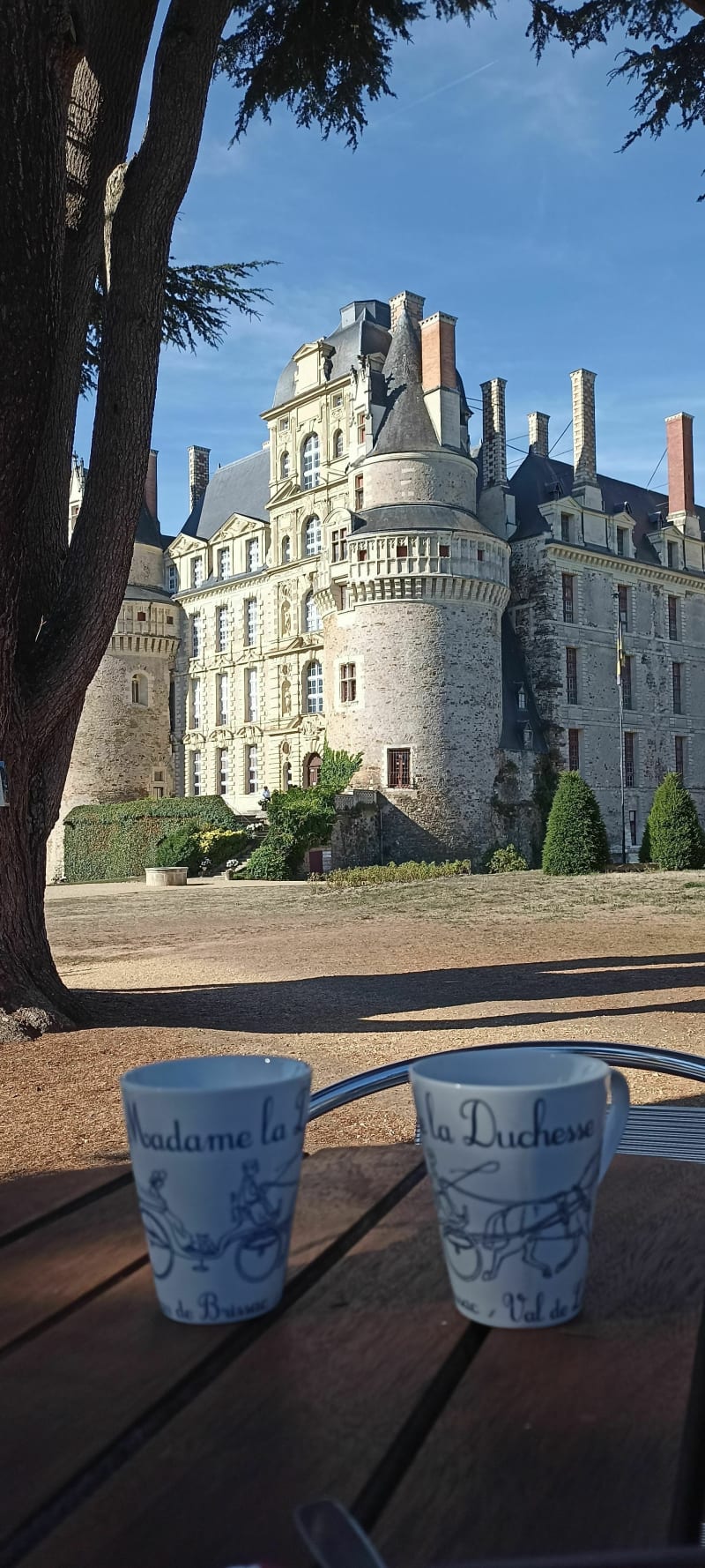 Brissac - entre vigne et château - Brissac-Loire-Aubance