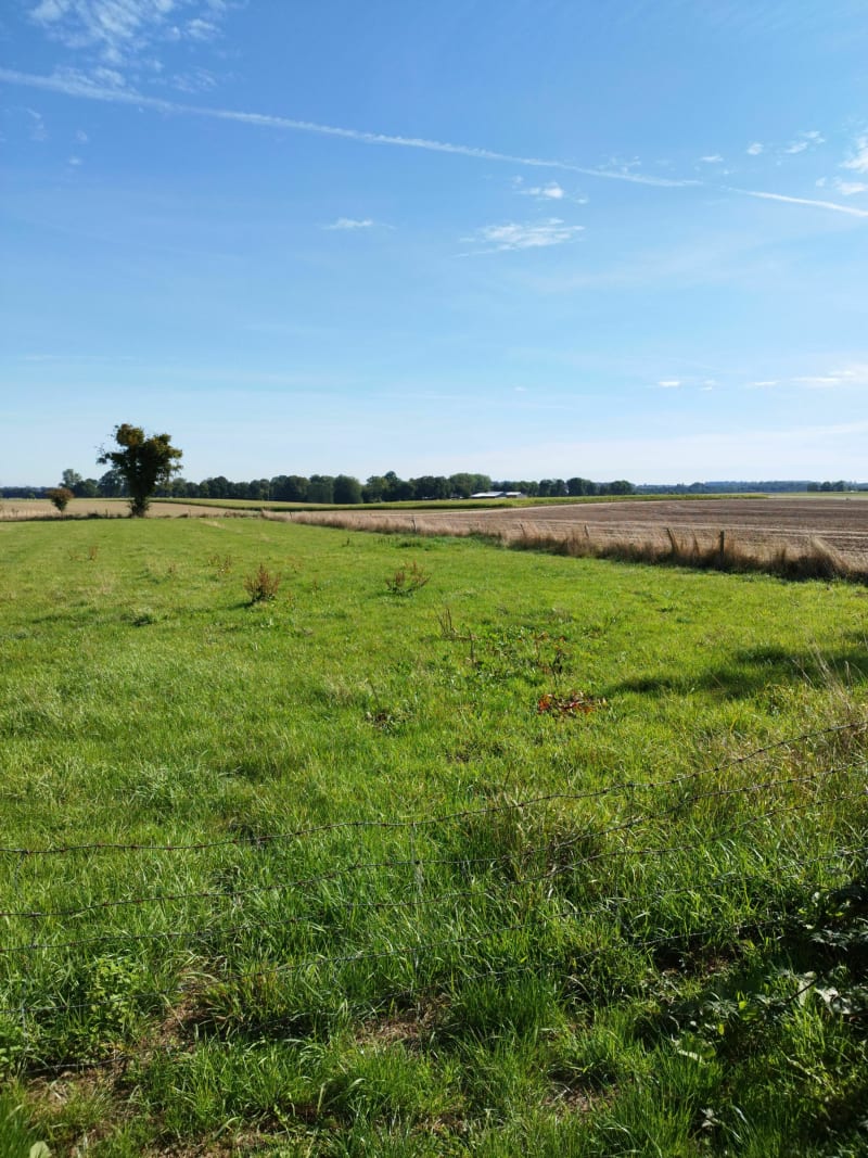 Marche à Emanville - Émanville