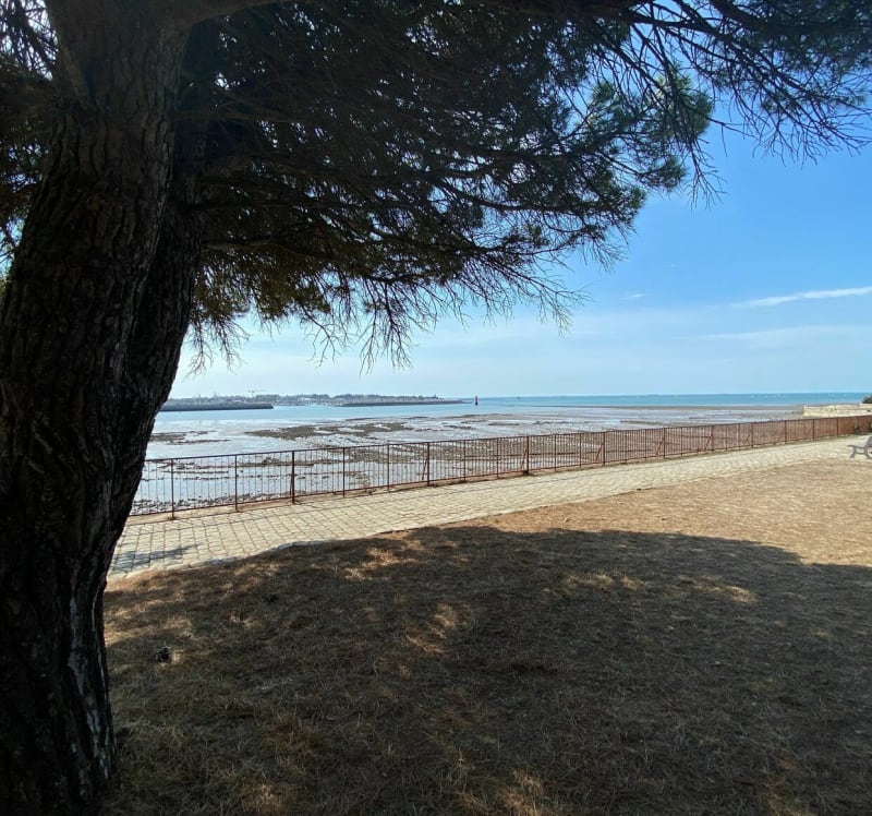 De Port Neuf au Parc animalier Beltrémieux - La Rochelle