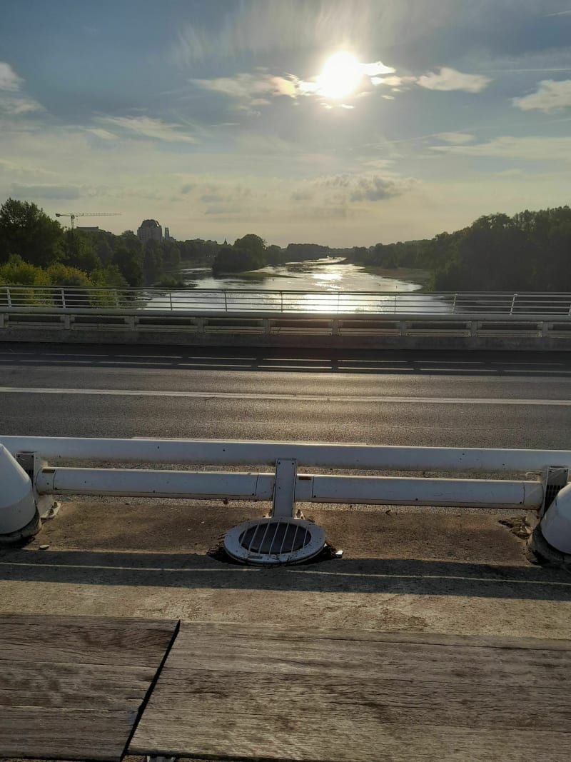 Bord de Loire vers le sud - Saint-Pryvé-Saint-Mesmin