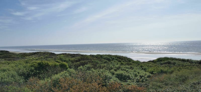 Ascension du mont Saint-Frieux et bord de plage - Dannes