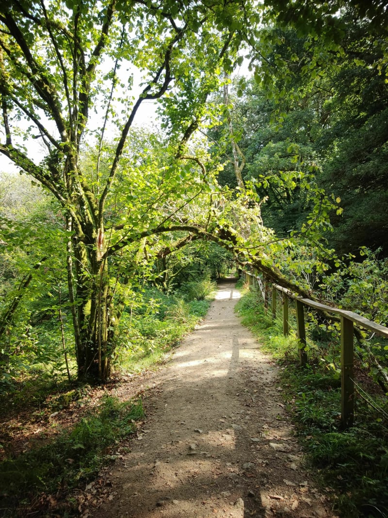Balade le long du canal de la papeterie à Lestonan - Ergué-Gabéric