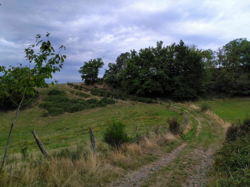 Isserteaux 63, trail autour du Courdeloup - Isserteaux