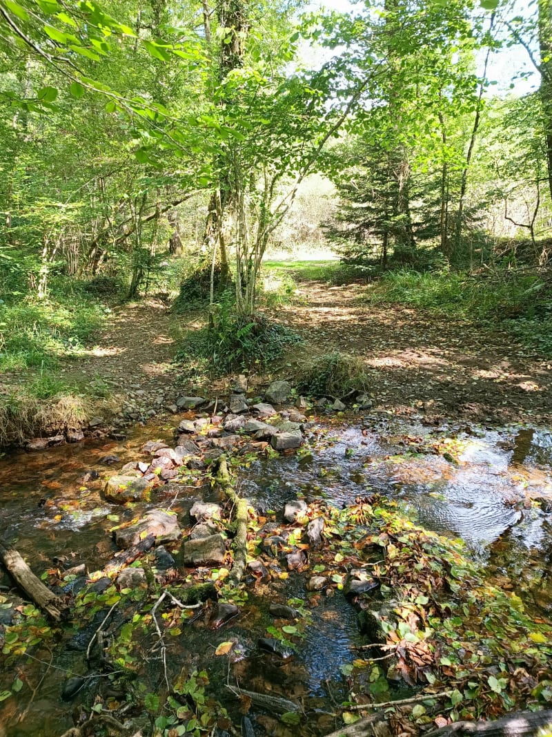 Wandelen in het Cranou-bos - Le Faou