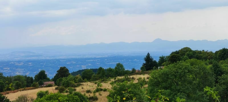 Autour du lac de Saint Rémy sur Durolle (VTTe) - Saint Rémy sur Durolle