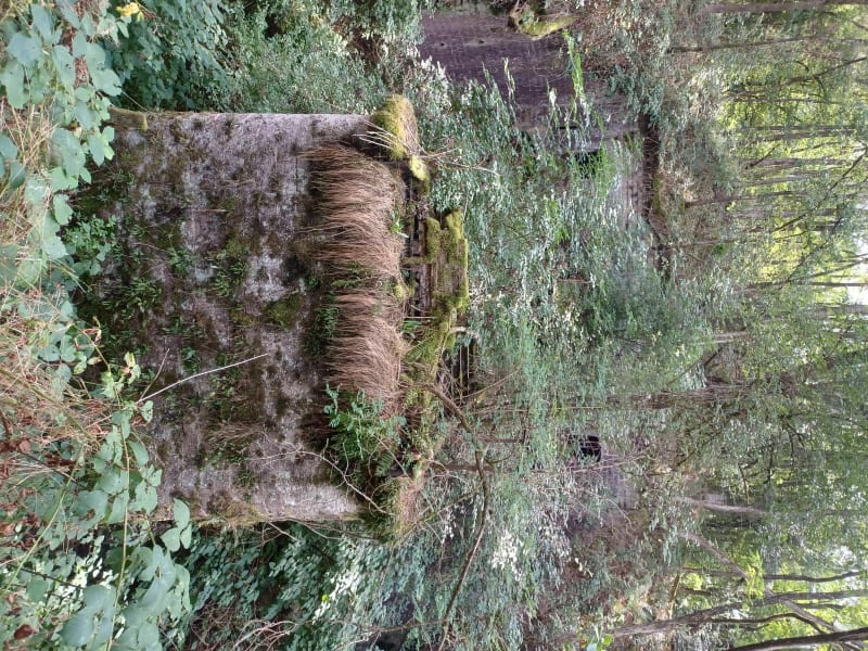 Fort de la Mouche - Epinal