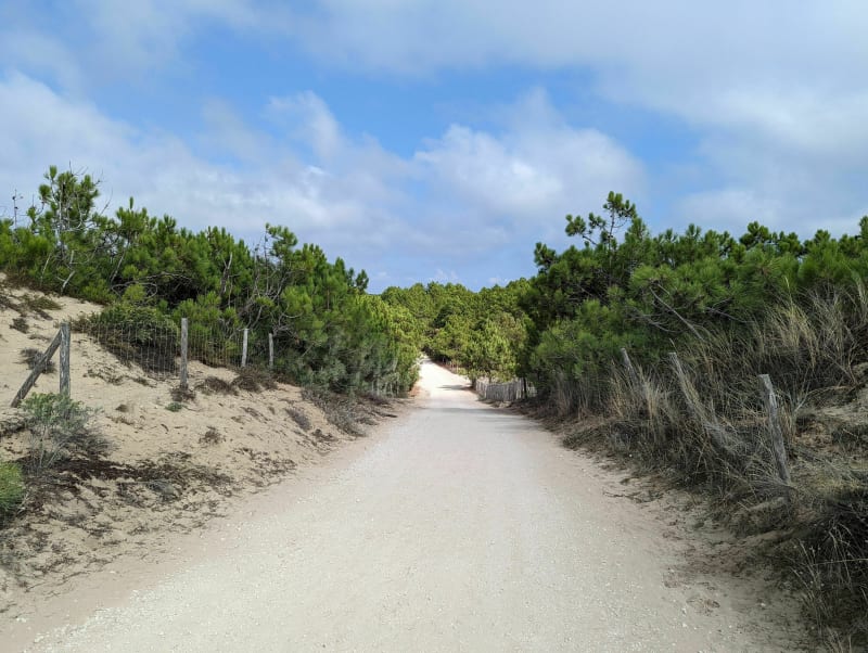 Ronce les Bains - Pointe Espagnole - La Tremblade