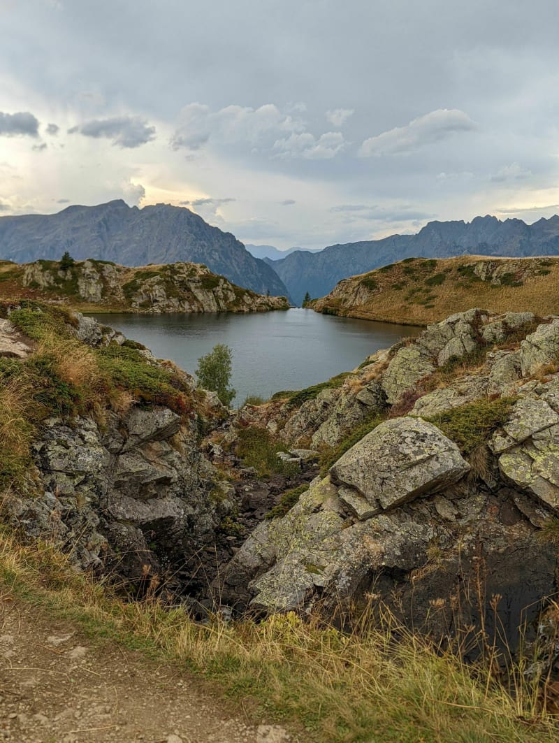Puces et myrtilles autour des Lacs - Huez