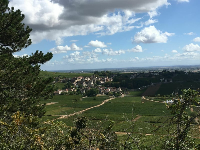 Randonnée à Saint-Romain - Saint-Romain