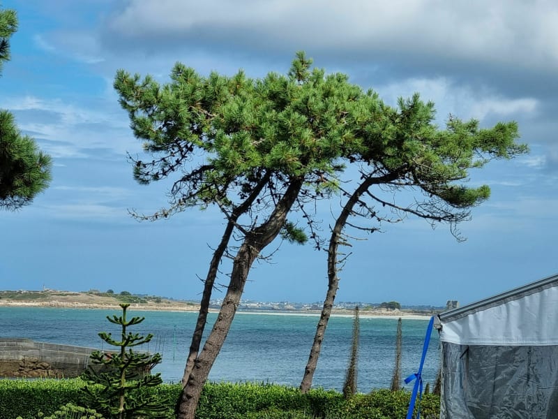 Balade en bord de mer à Mogueriec - Sibiril