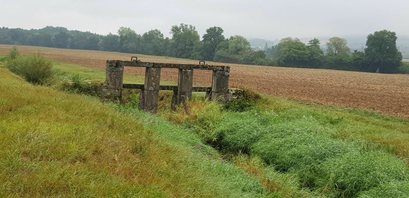 A travers la forêt et les Bois de Chapaize - Chapaize