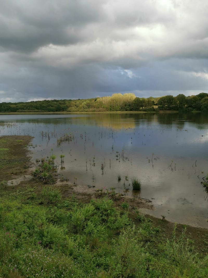 Etang de Péronne et les poteries de Chanteloup-Les-Bois - Chanteloup-les-Bois