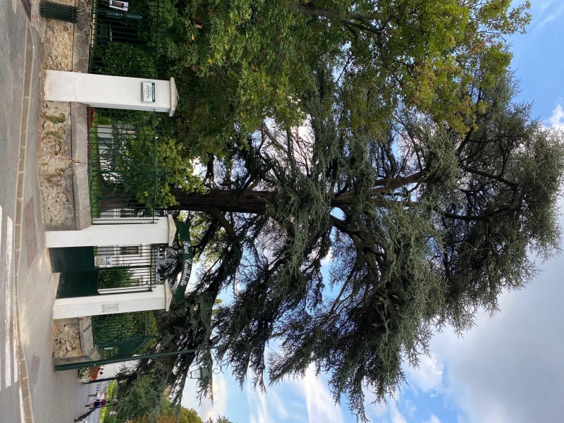 Petite balade dans Yerres - Yerres