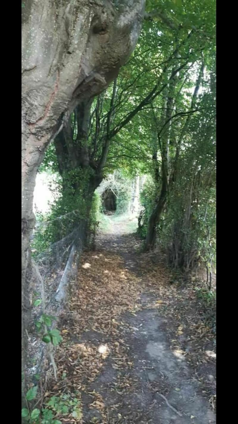 De Fontaine au Bois à Mormal - Fontaine-au-Bois