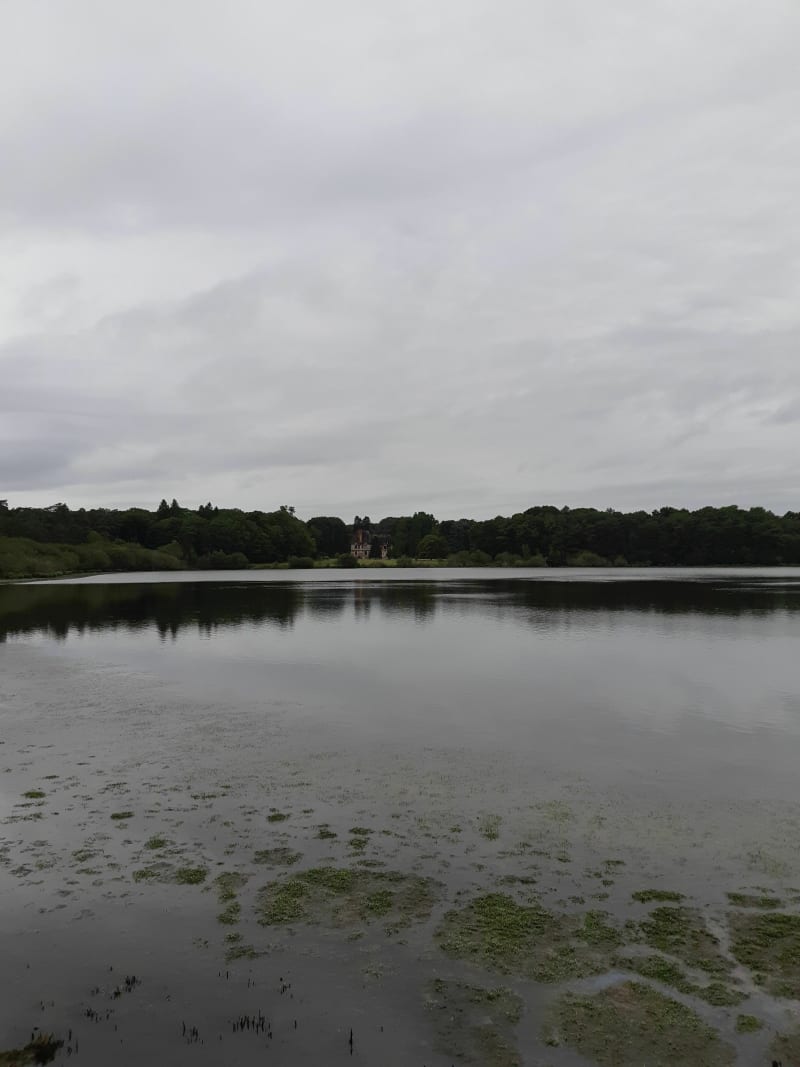 Van Paimpont naar het kasteel van Brocéliande door het bos - Paimpont