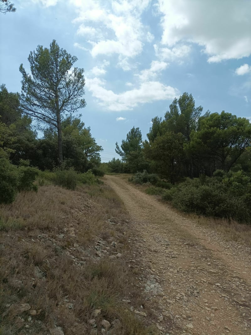 Petit tour en VTT vers les Crêtes de Cazan - Alleins