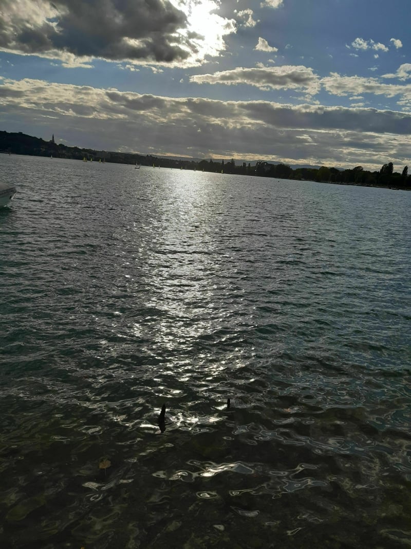 Randonnée au Mont Veyrier - Annecy