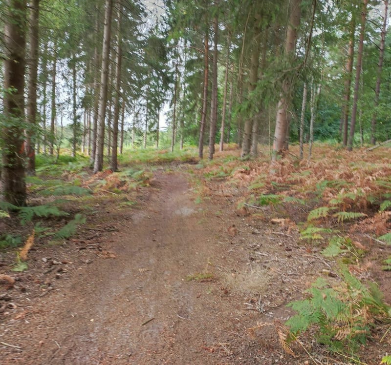 La nature Val-d'Oisienne à deux pas de la ville - Survilliers