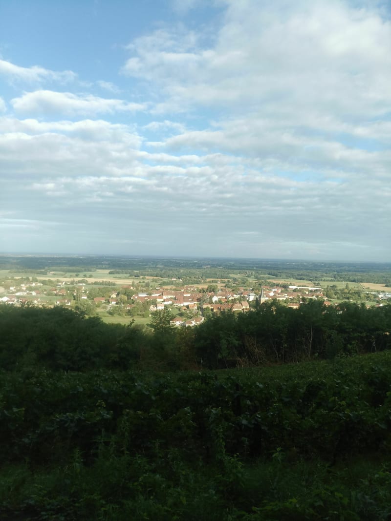 Par Chanot - Beaufort-Orbagna