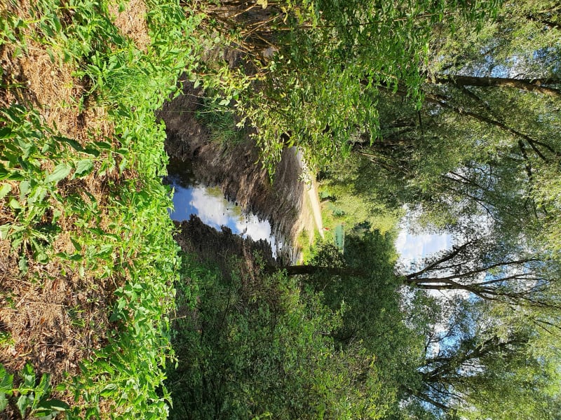 Balade au parc Bouvaque d'Abbeville - Abbeville