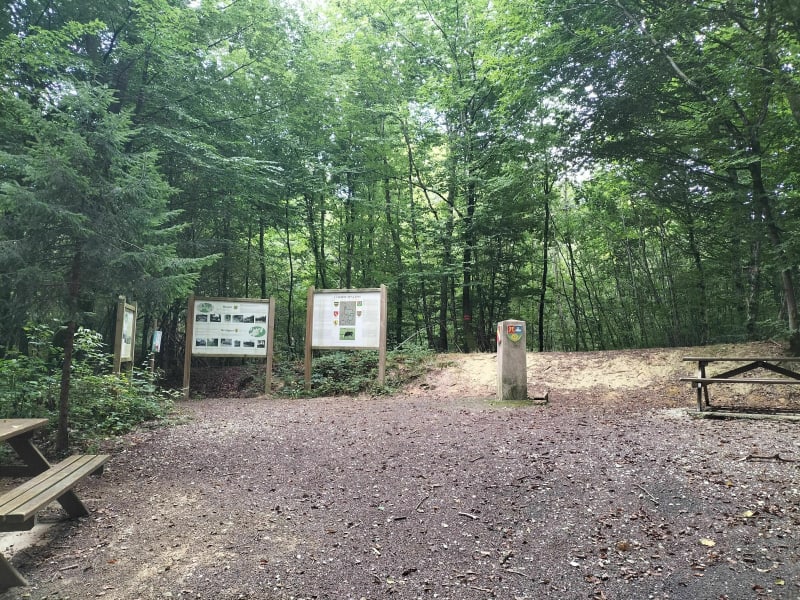 Autour de la borne des 4 Fins au départ de Montenois - Montenois