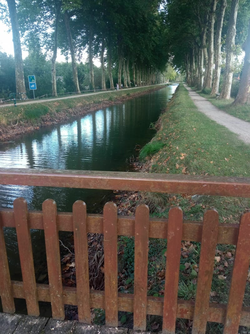 Canal de la Sauldre à Lamotte-Beuvron - Lamotte-Beuvron