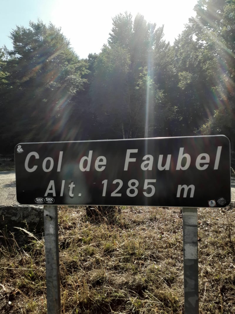 Col de Faubel et forêt  de l Aigoual - Saint-Sauveur-Camprieu