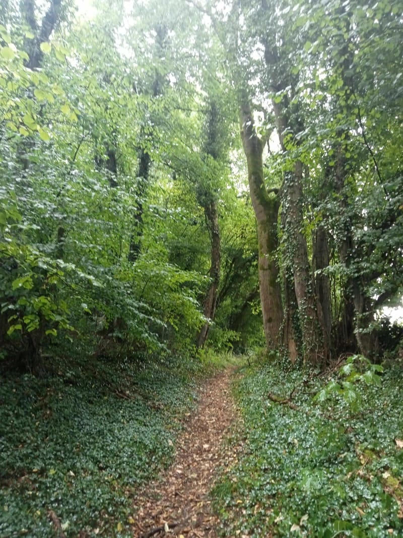 Balade par la bergerie - Roches-sur-Marne
