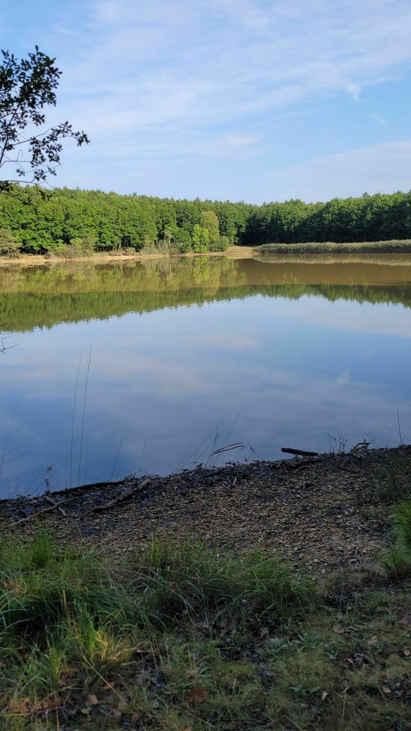 Etang du Pas aux Anes - Sennevières