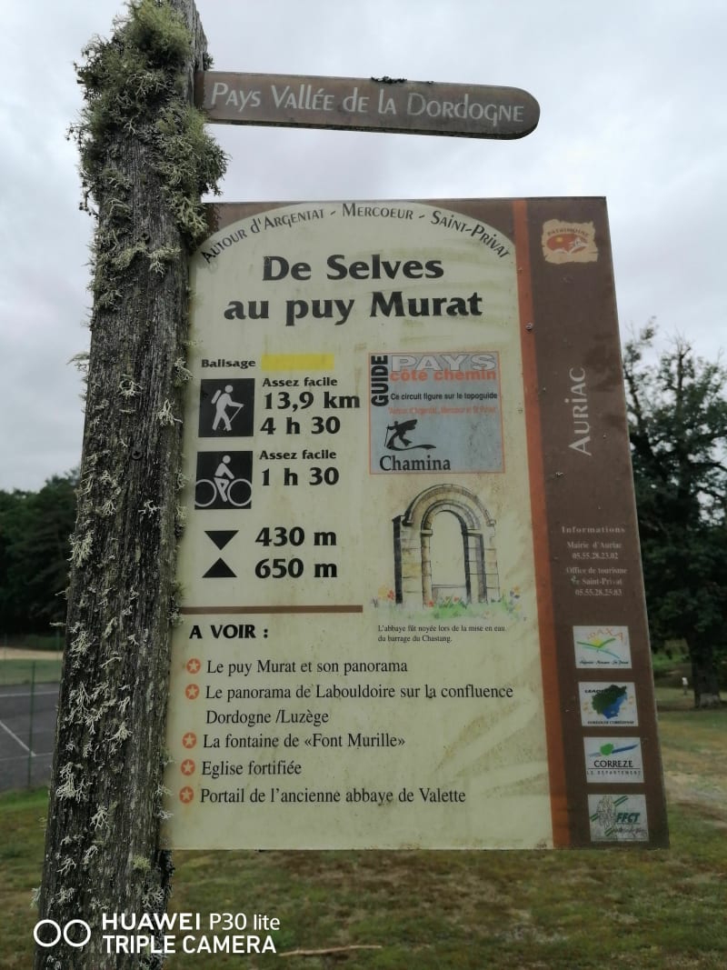 De selves au puy Murat - Auriac