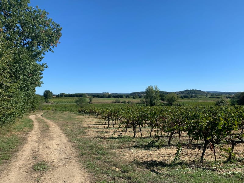 Boucle VTT à partir de LEDIGNAN chemins et petites routes - Lédignan