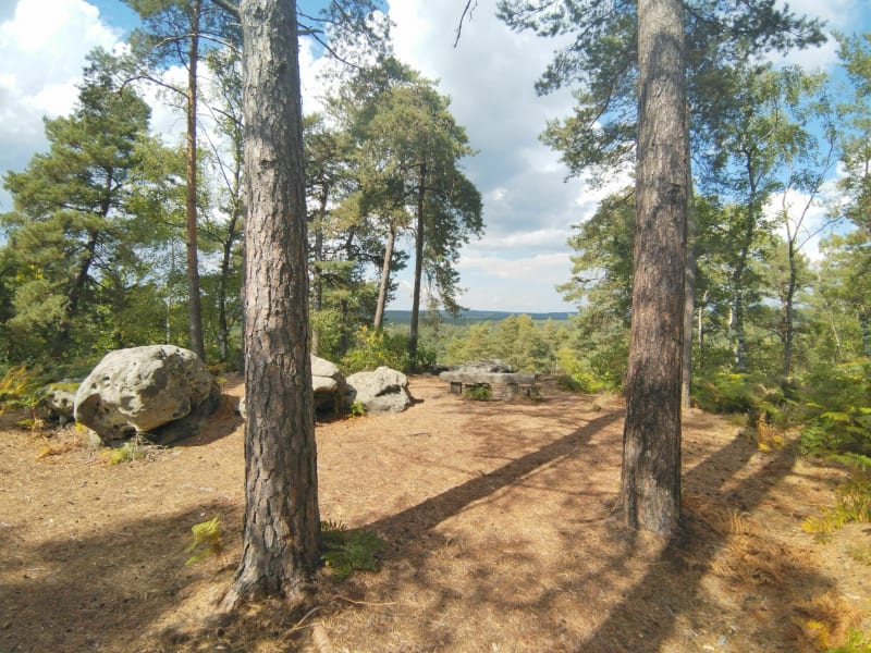 Sur les chemins des monts - Fontainebleau