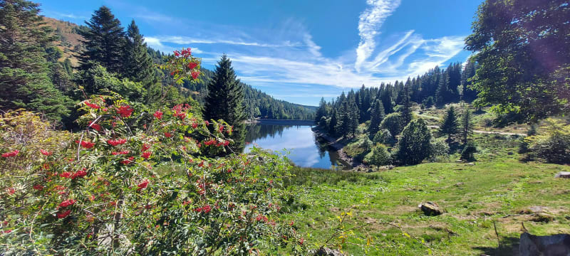 Des Hautes Huttes au Altenkreahkopf - Orbey