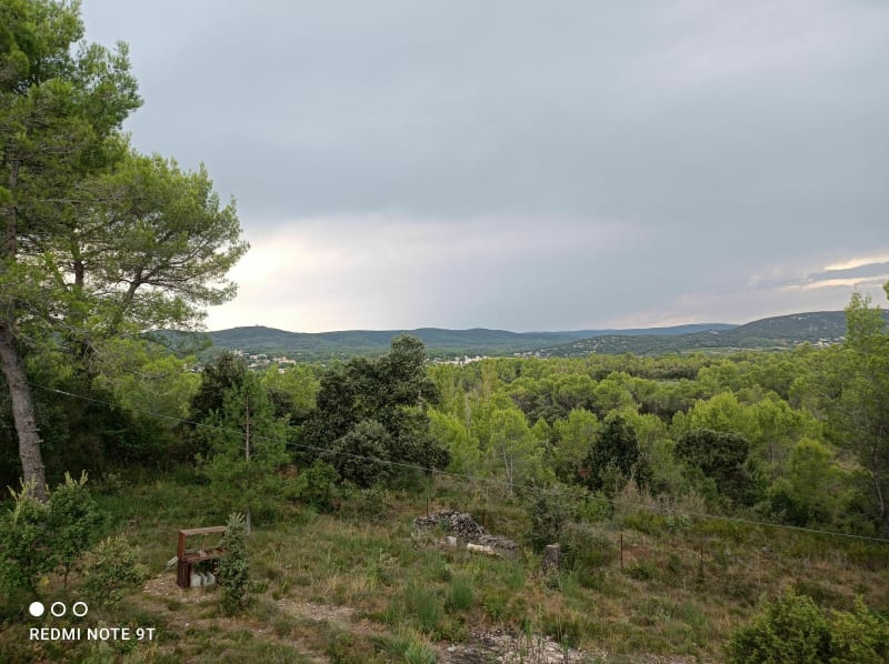 Entre Montarnaud et Saint Paul - Montarnaud