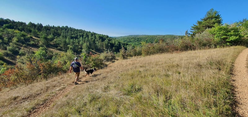 Plateau de Chenove - Dijon