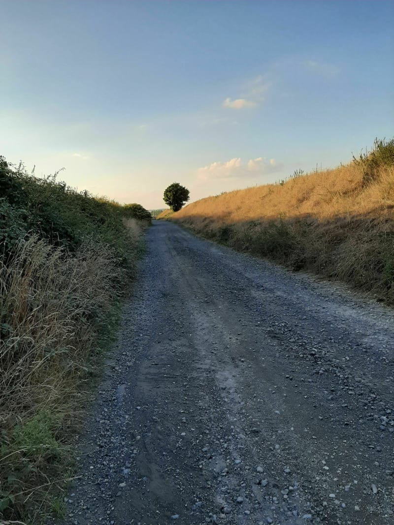 Belle boucle sur les chemins d Amerval - Solesmes